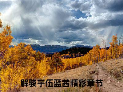 解骏宇伍蓝茜(解骏宇伍蓝茜)全文免费阅读无弹窗_(解骏宇伍蓝茜)解骏宇伍蓝茜最新章节列表笔趣阁（解骏宇伍蓝茜）