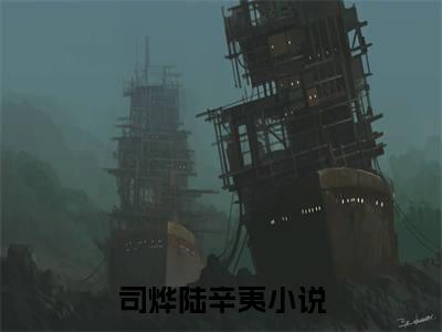 司烨陆辛夷小说（司烨陆辛夷）全文免费阅读无弹窗大结局_司烨陆辛夷最新章节列表_笔趣阁（司烨陆辛夷）