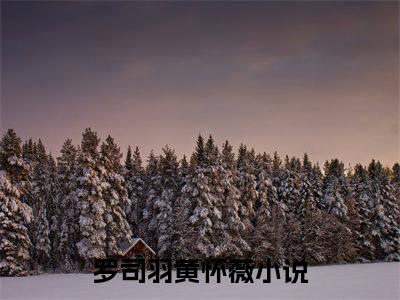 （罗司羽黄怀薇）全文免费阅读无弹窗大结局_罗司羽黄怀薇最新章节列表_笔趣阁