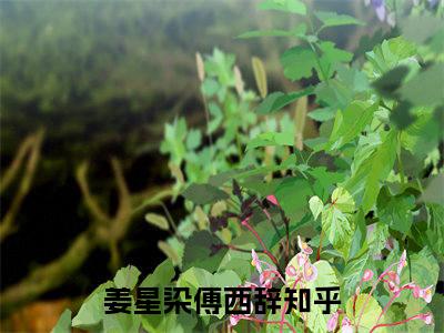 姜星染傅西辞（姜星染傅西辞）全文免费阅读无弹窗大结局_(姜星染傅西辞)姜星染傅西辞全文免费阅读无弹窗最新章节列表_笔趣阁（姜星染傅西辞）