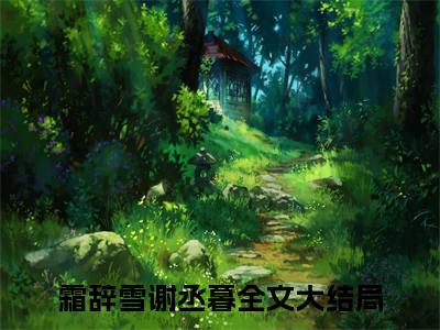 霜辞雪谢丞暮(霜辞雪谢丞暮)是什么小说-热门小说（霜辞雪谢丞暮）最新章节阅读