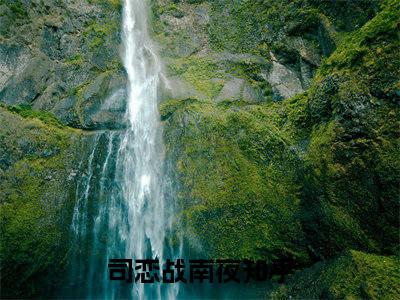 司恋战南夜（司恋战南夜）全文免费阅读无弹窗大结局_(司恋战南夜免费阅读)司恋战南夜最新章节列表_笔趣阁（司恋战南夜）