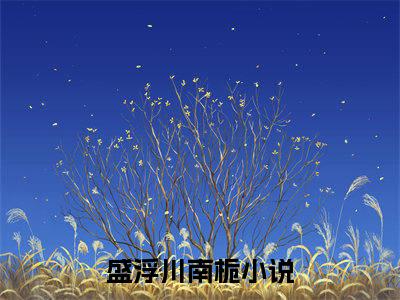 盛浮川南栀全文免费最后一章在线阅读 盛浮川南栀全文小说完整版