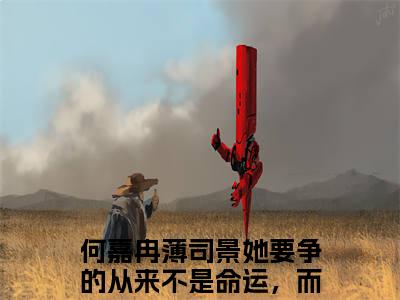 何嘉冉薄司景小说（她要争的从来不是命运，而是他的心已完结小说全集完整版大结局）她要争的从来不是命运，而是他的心小说全文阅读笔趣阁