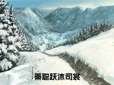 秦聪跃沐司裳是哪部小说的主角-（秦聪跃沐司裳）全文无弹窗完整版阅读