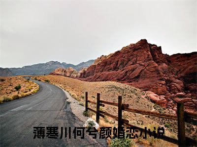 薄寒川何兮颜全文免费阅读无弹窗大结局，薄寒川何兮颜小说精彩免费试读