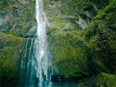 林玉全文免费阅读无弹窗大结局_林玉全文阅读_笔趣阁（快穿之女配逆袭靠强国）