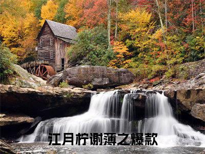 江月柠谢薄之小说免费阅读-江月柠谢薄之最新章节小说阅读-笔趣阁