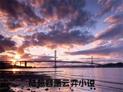 陆想容萧云弈全文免费完整版 陆想容萧云弈在线试读