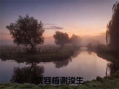 沈容梅谢浚生（沈容梅谢浚生）全文无弹窗阅读-沈容梅谢浚生最新章节完整版阅读