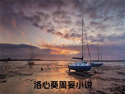 洛心葵周妄抖音洛心葵周妄小说阅读完结版-洛心葵周妄小说全文免费阅读