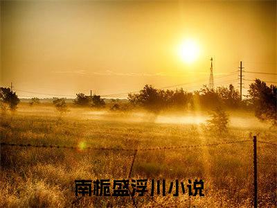 南栀盛浮川免费小说 南栀盛浮川在线小说免费阅读目录