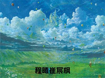 程曦崔宸枫的小说免费阅读（程曦崔宸枫的小说免费阅读）全文完整版免费阅读