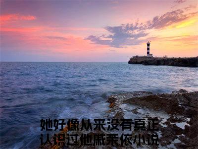 她好像从来没有真正认识过他戚茉依小说（已完结小说全集完整版大结局）小说全文阅读笔趣阁