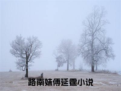 路南妹傅延霆小说全文免费阅读，路南妹傅延霆完整版