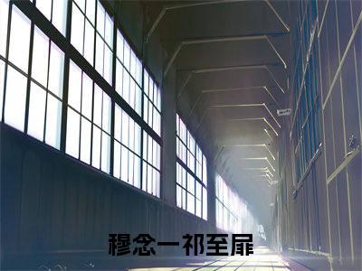 穆念一祁至扉热文结局在线阅读 穆念一祁至扉完整版小说