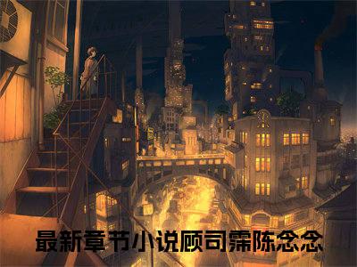 顾司霈陈念念(甜诱小妻，大叔轻点宠)全文在线阅读无弹窗_顾司霈陈念念小说全文大结局