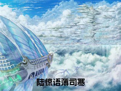 五年后她带着三个幼崽虐翻财阀家族新书热荐免费小说陆惊语薄司寒全文完整版-陆惊语薄司寒知乎小说