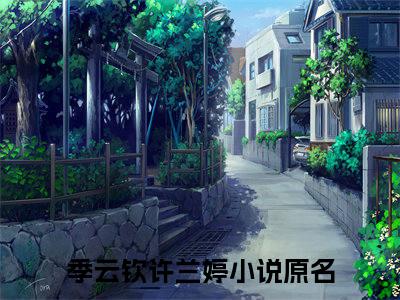 季云钦许兰婷小说免费阅读全文在线阅读,季云钦许兰婷的小说在线阅读全文