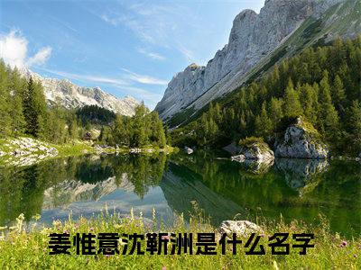 姜惟意沈靳洲（姜惟意沈靳洲）全文免费阅读大结局-姜惟意沈靳洲最新章节列表免费阅读大结局