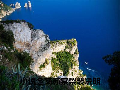 苏棠梨裴决明在线阅读（苏棠梨裴决明）全文免费阅读无弹窗大结局_苏棠梨裴决明免费最新章节列表_笔趣阁（苏棠梨裴决明）