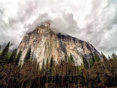 徐冉裴屿成小说全文阅读-（徐冉裴屿成）小说全文免费阅读无弹窗大结局