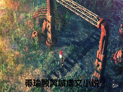 秦瑜顾风城小说（秦瑜顾风城）全文免费阅读无弹窗大结局_（秦瑜顾风城）秦瑜顾风城最新章节列表笔趣阁（秦瑜顾风城）