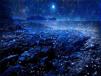 苏安（全球异能：我能激活亿万生物技能）全文免费阅读无弹窗大结局_苏安最新章节列表_笔趣阁（全球异能：我能激活亿万生物技能）