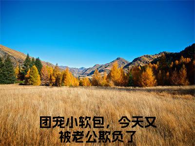 团宠小软包，今天又被老公欺负了小说免费阅读无弹窗《洛宝傅清宴》_洛宝傅清宴全文阅读团宠小软包，今天又被老公欺负了