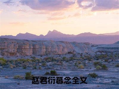 主角为赵君衍慕念的小说（赵君衍慕念）无弹窗大结局-赵君衍慕念最新小说全文阅读最新章节列表_笔趣阁