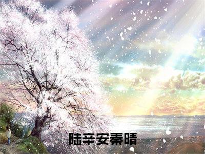 陆辛安秦晴是什么小说-陆辛安秦晴全文免费阅读无弹窗大结局（陆辛安秦晴）最新章节阅读