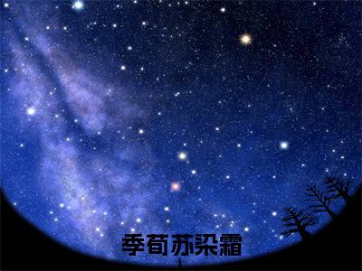 《季荀苏染霜小说》在线阅读-季荀苏染霜免费完整版在线阅读
