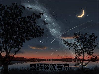 楚辞琛沈若京（楚辞琛沈若京）正版小说最新章节在线阅读_（楚辞琛沈若京全文免费阅读无弹窗）