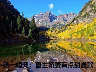 洛夕冷闵行（第一婚宠：重生娇妻有点甜）最新免费阅读-洛夕冷闵行小说在线阅读