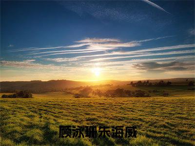 顾泳珊朱海威完整版《顾泳珊朱海威》全文阅读