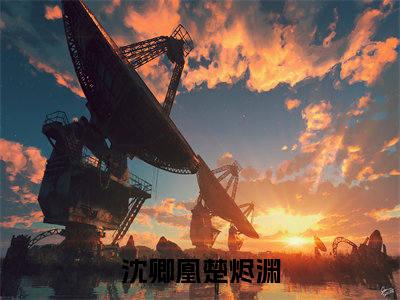 小说名字是：沈卿凰楚烬渊的小说全文免费阅读-（沈卿凰楚烬渊小说免费阅读）沈卿凰楚烬渊正版小说免费阅读_笔趣阁