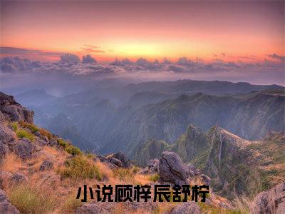 顾梓辰舒柠(顾梓辰舒柠)全文免费阅读无弹窗大结局_顾梓辰舒柠免费阅读全文无弹窗_笔趣阁
