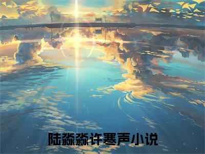 陆淼淼许寒声全文免费阅读无弹窗大结局-陆淼淼许寒声 全文全章节免费阅读