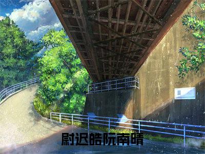 尉迟皓阮南晴全文免费阅读无弹窗大结局_章节列表_笔趣阁