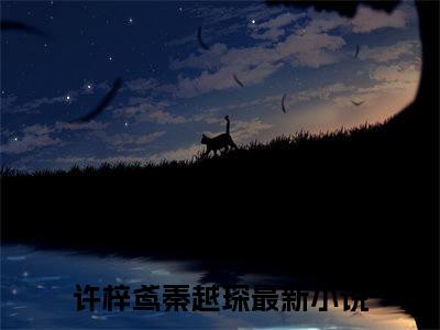 许梓鸢秦越琛小说大结局完整版阅读，许梓鸢秦越琛小说全文在线阅读