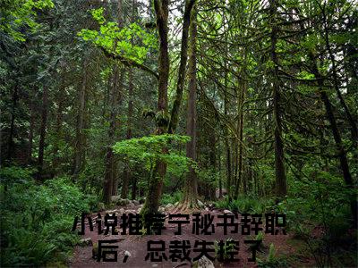 宁矜傅宴青全文小说（宁秘书辞职后，总裁失控了）-完整版小说宁秘书辞职后，总裁失控了（宁矜傅宴青）热文免费阅读