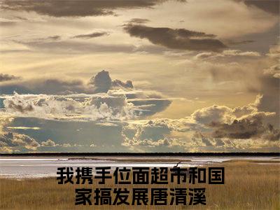 我携手位面超市和国家搞发展唐清溪免费小说-我携手位面超市和国家搞发展唐清溪已更新最新章节