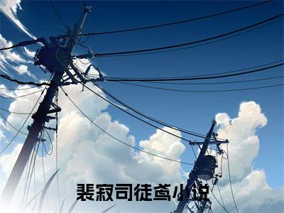 裴寂司徒鸢无广告小说免费阅读，裴寂司徒鸢完结小说在线阅读