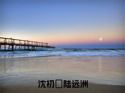 沈初婳陆远洲主角是沈初婳陆远洲全文免费阅读无弹窗-沈初婳陆远洲最新章节列表-笔趣阁