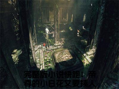 顾卿安高赞小说（快跑！帝尊的小白花又要揍人啦）完结阅读_快跑！帝尊的小白花又要揍人啦免费看全文