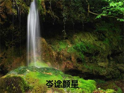 岑谂颜星（岑谂颜星）全文免费阅读无弹窗大结局_岑谂颜星在线阅读（岑谂颜星）