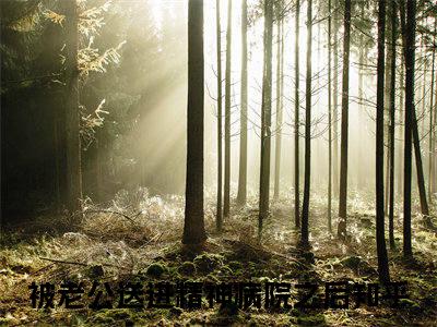 被老公送进精神病院之后小说免费阅读（罗嘉琳赵关山）全文免费阅读大结局-（被老公送进精神病院之后小说免费阅读）好书推荐