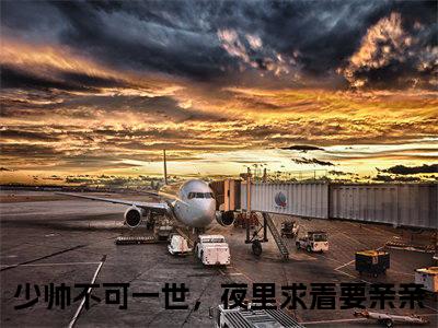沈聿青宋徽宜小说（少帅不可一世，夜里求着要亲亲）全文免费阅读无弹窗大结局_少帅不可一世，夜里求着要亲亲小说最新章节列表_笔趣阁（沈聿青宋徽宜）