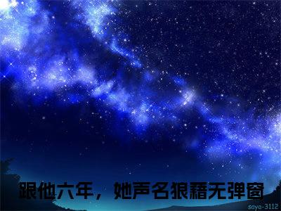 苏敏琳宋相叙（跟他六年，她声名狼藉）全文免费阅读无弹窗大结局_苏敏琳宋相叙最新章节列表