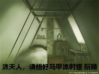 沐时煜 阮曦小说全文免费阅读无弹窗大结局_（沐时煜 阮曦全文免费阅读）沐夫人，请捂好马甲最新章节列表笔趣阁